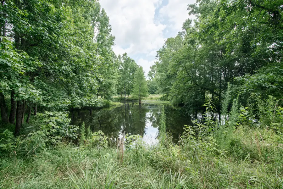 169 Pendergrass Rd, Flintville, TN 37335 - #2