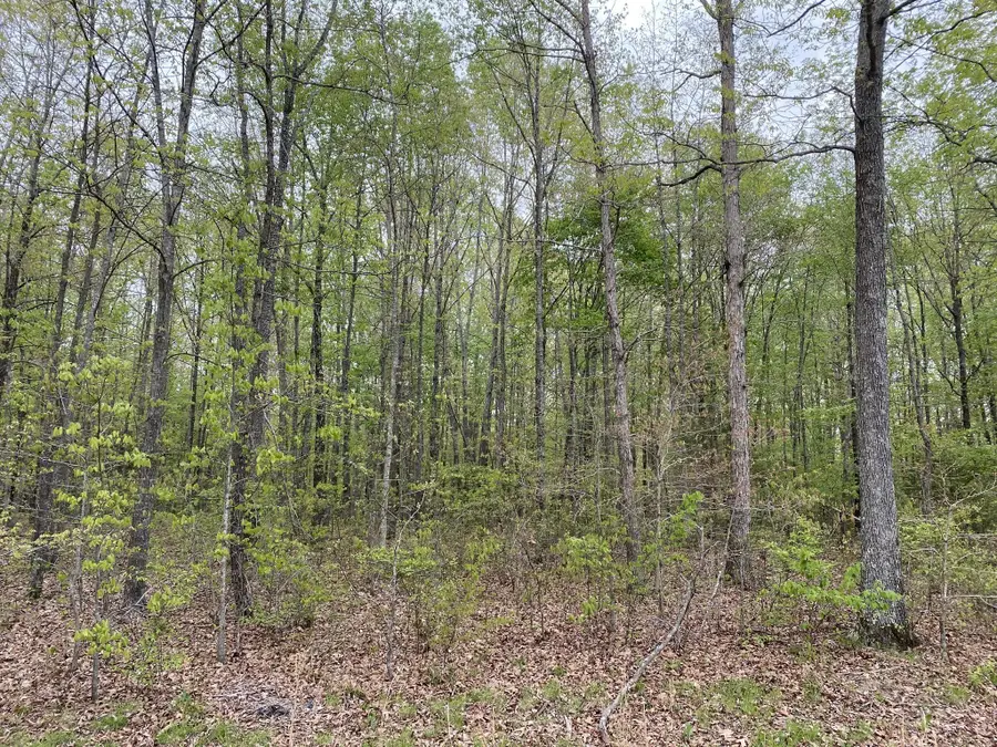 0 Eagle Loop, Loretto, TN 38469 - #2