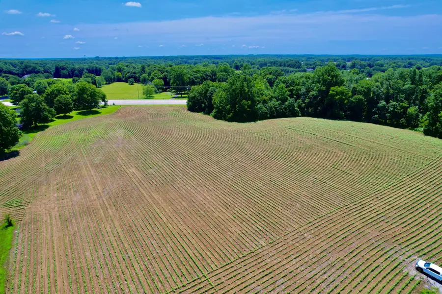20 Lambs Ferry Rd, Leoma, TN 38468 - #2