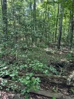 850 Lick Hollow Drive, Grandview, TN 37337 - #1