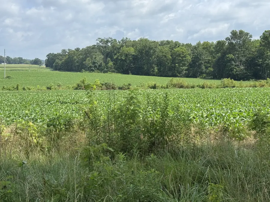 0 Zander Road, Hopkinsville, KY 42240 - #2