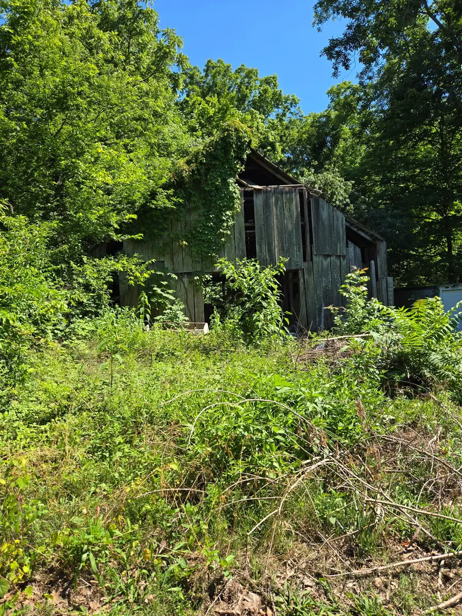 8704 Richards Ln, Lyles, TN 37098 - #2