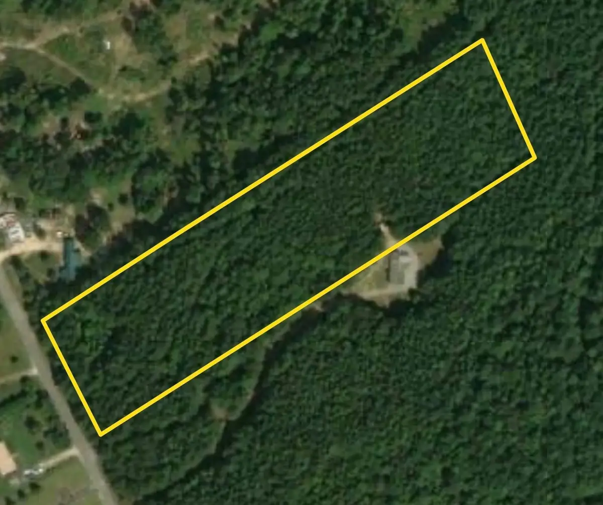 498 Gobbler Dr, Holladay, TN 38341 - #1