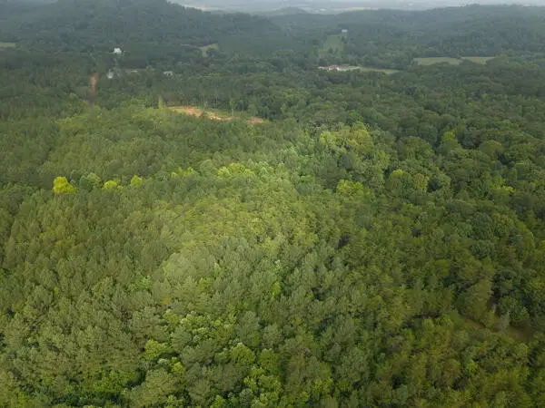0 County Road 752, Riceville, TN 37370 - #3