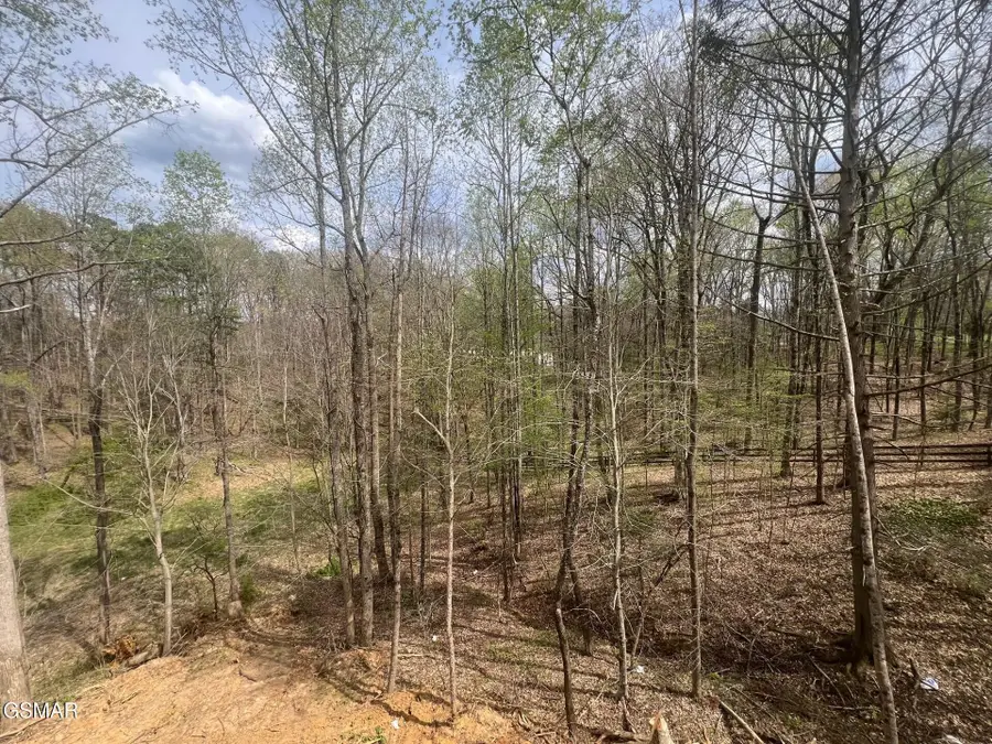 2428 Iron Forge Way, Sevierville, TN 37876 - #2