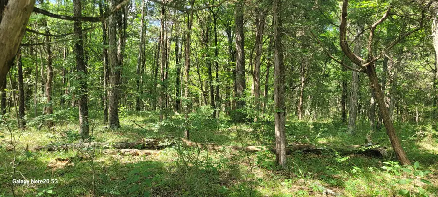 2 Clem Creek Rd, Chapel Hill, TN 37034 - #3
