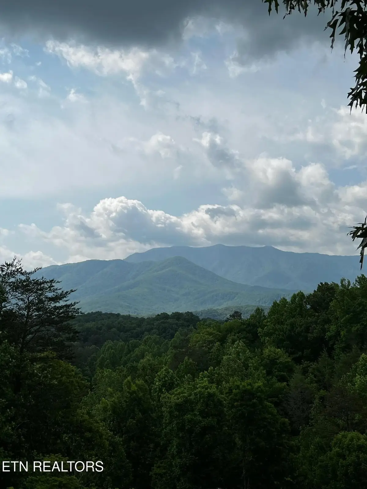 3 Powdermill Drive, Gatlinburg, TN 37738 - #1