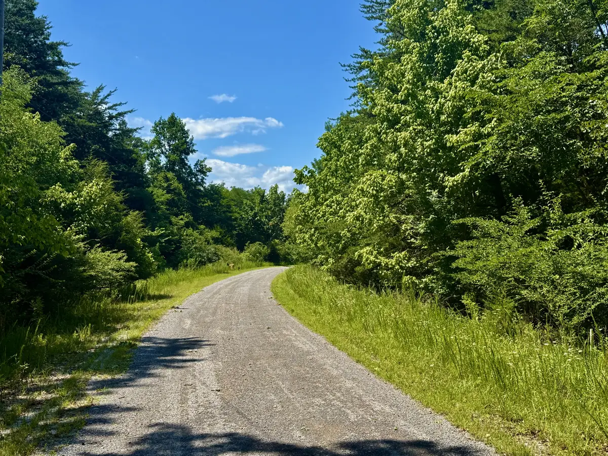 1 Teludachee Trail, South Pittsburg, TN 37380 - #1