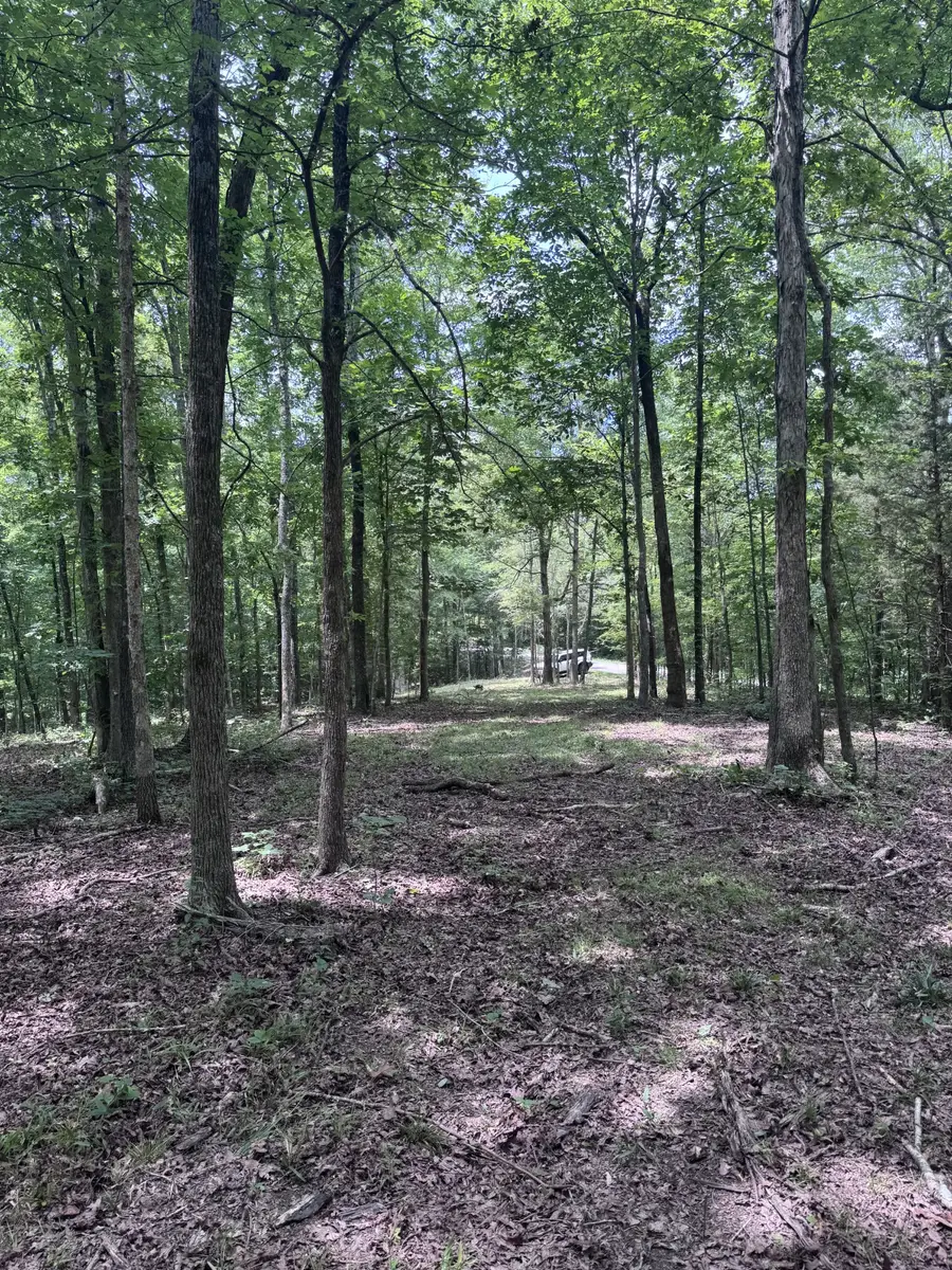 0 Jack Saunders Rd, Waverly, TN 37185 - #2