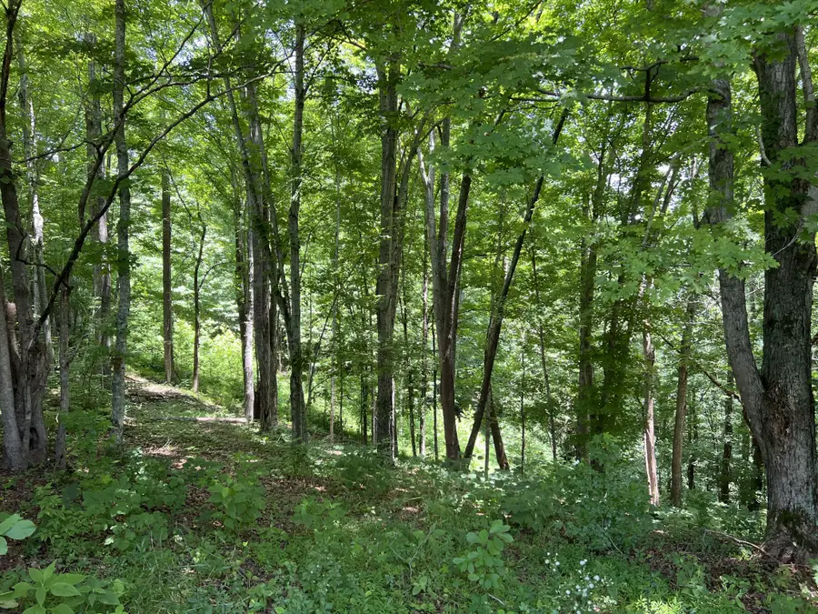 0 Lafever Ridge Rd, Silver Point, TN 38582 - #2