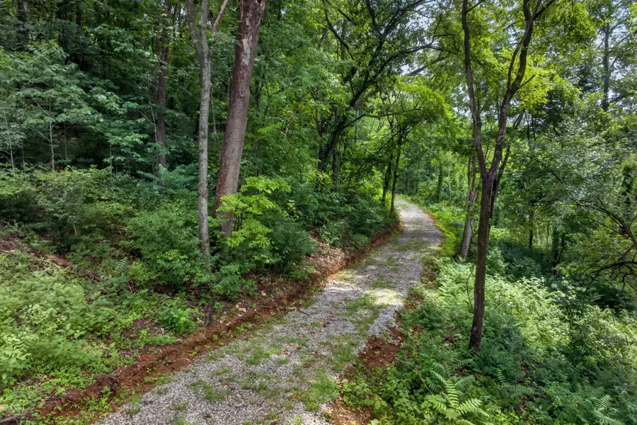 18 E Main Street, Dowelltown, TN 37059 - #3