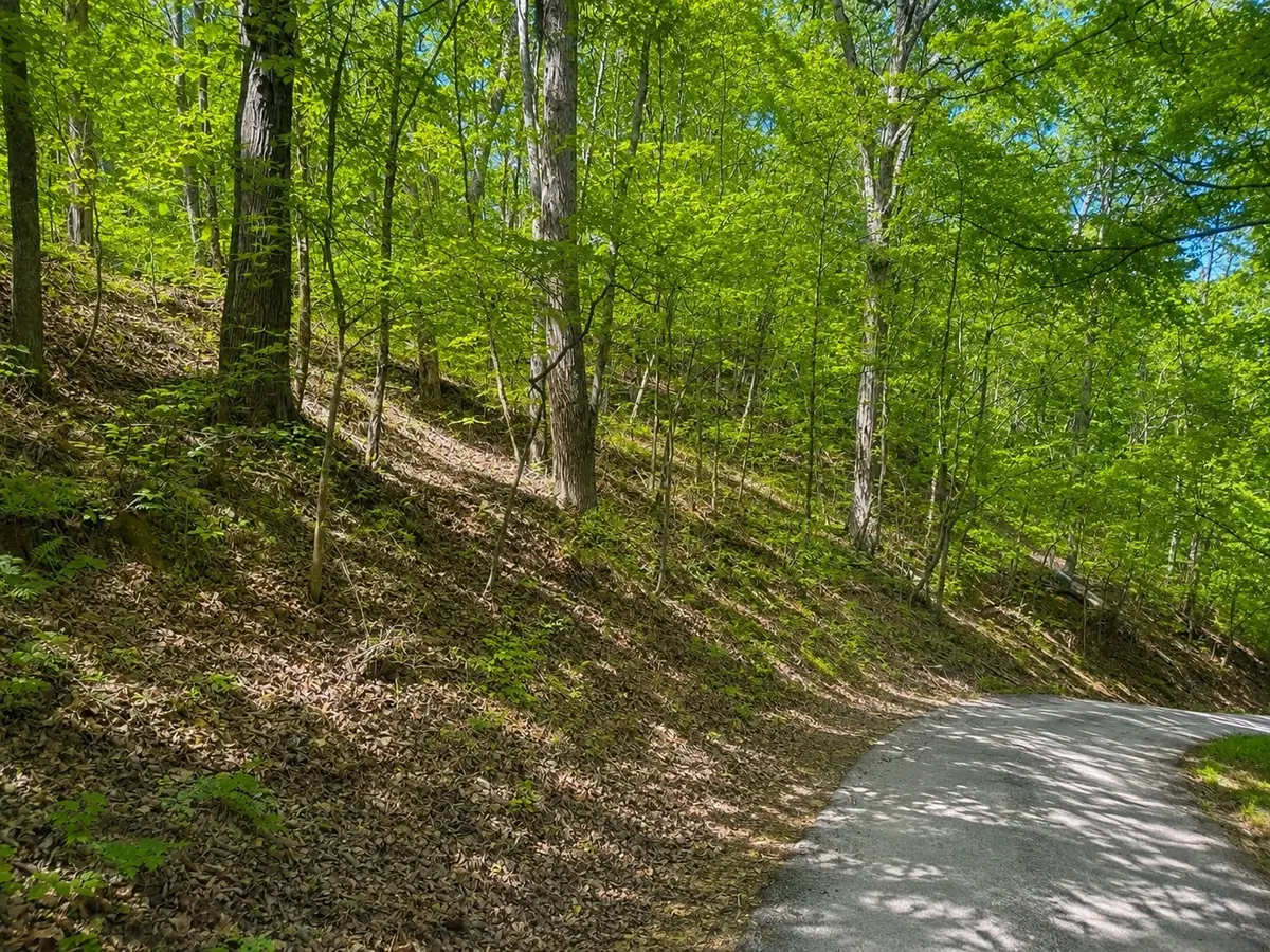 0 Lakeside Dr, Smithville, TN 37166 - #1