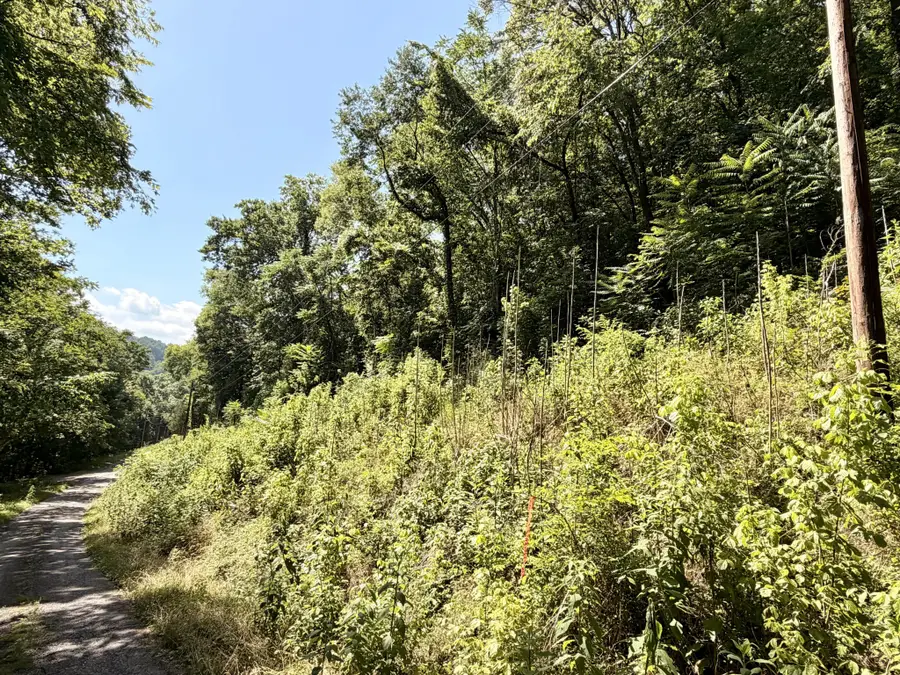 0 Silver Point Rd, Silver Point, TN 38582 - #3