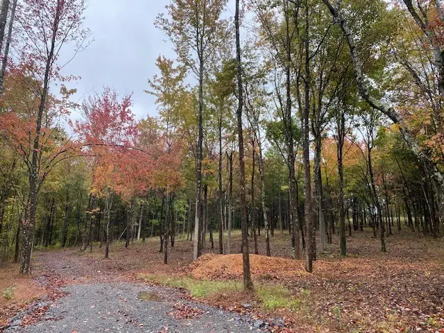 7884 Bill Moss Rd, White House, TN 37188 - #3