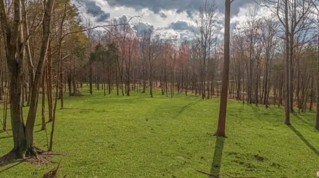 7876 Bill Moss Rd, White House, TN 37188 - #2