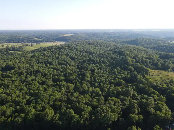0 Lylewood Road, Woodlawn, TN 37191