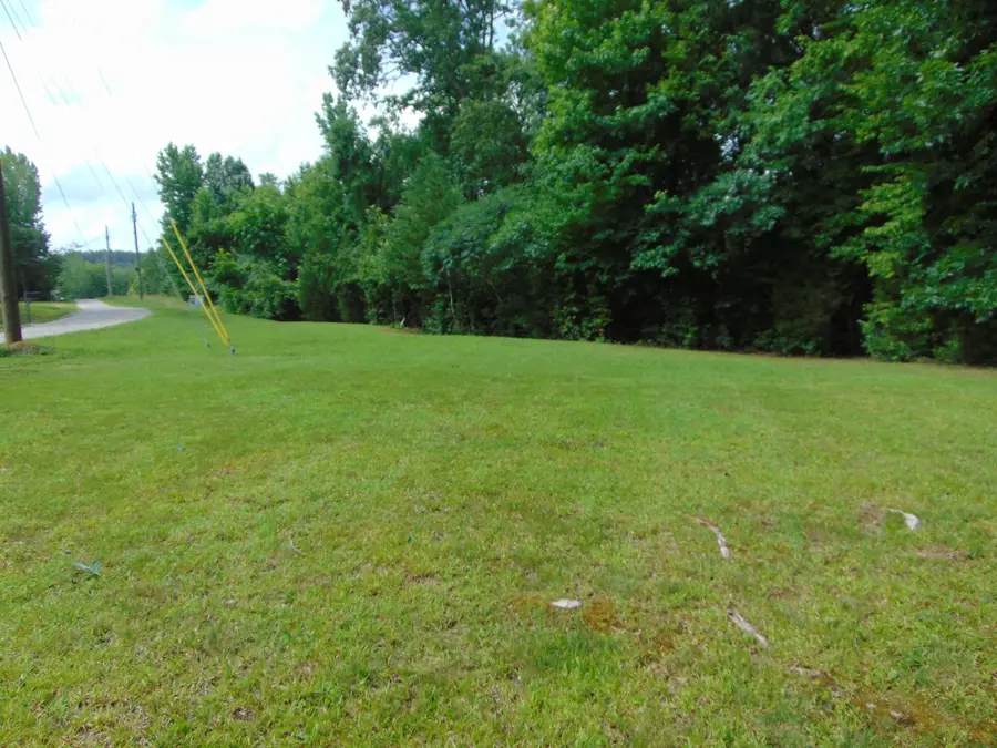 2991 Beech Creek Loop, Clifton, TN 38425 - #2