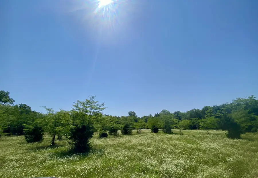0 Pyles Rd, Chapel Hill, TN 37034 - #3
