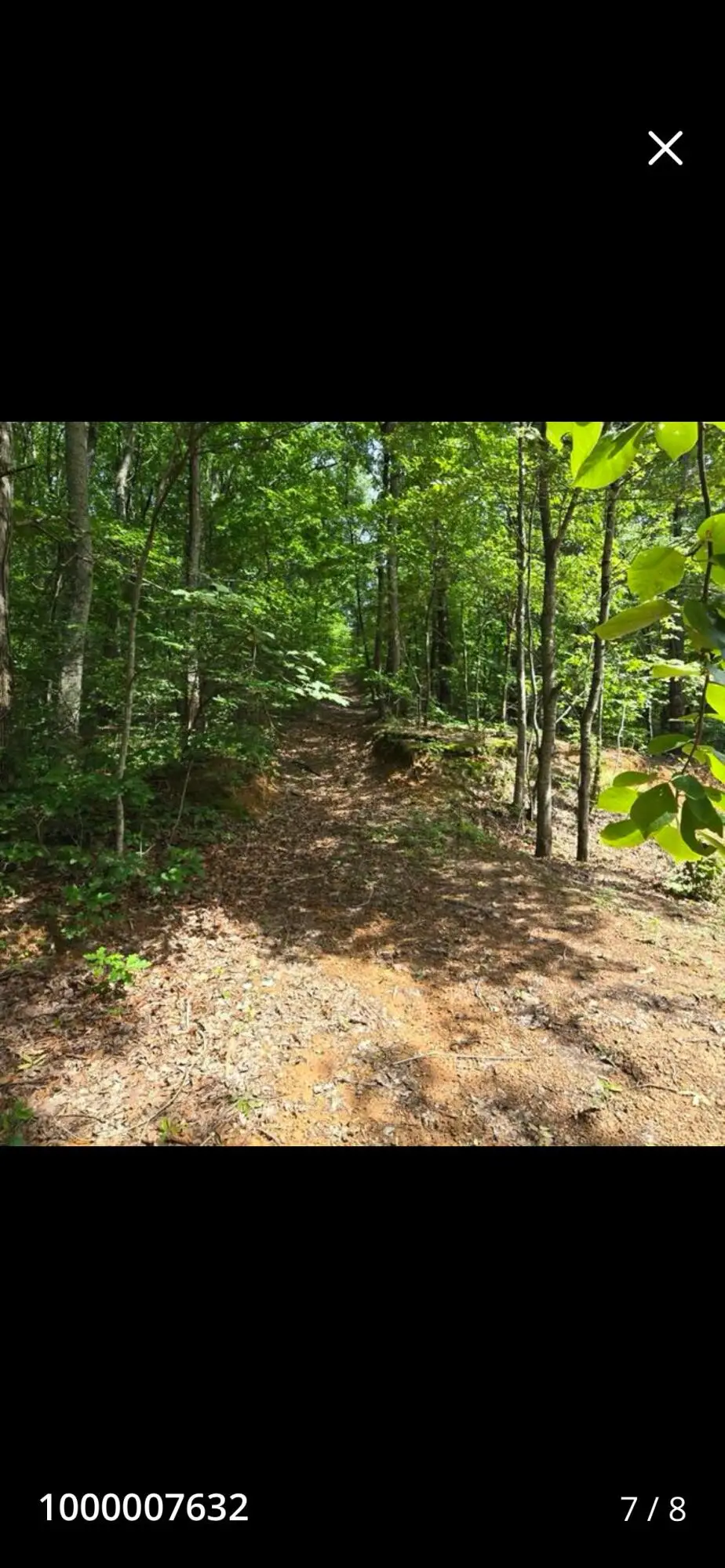 185 Co Rd 179, Decatur, TN 37322 - #1