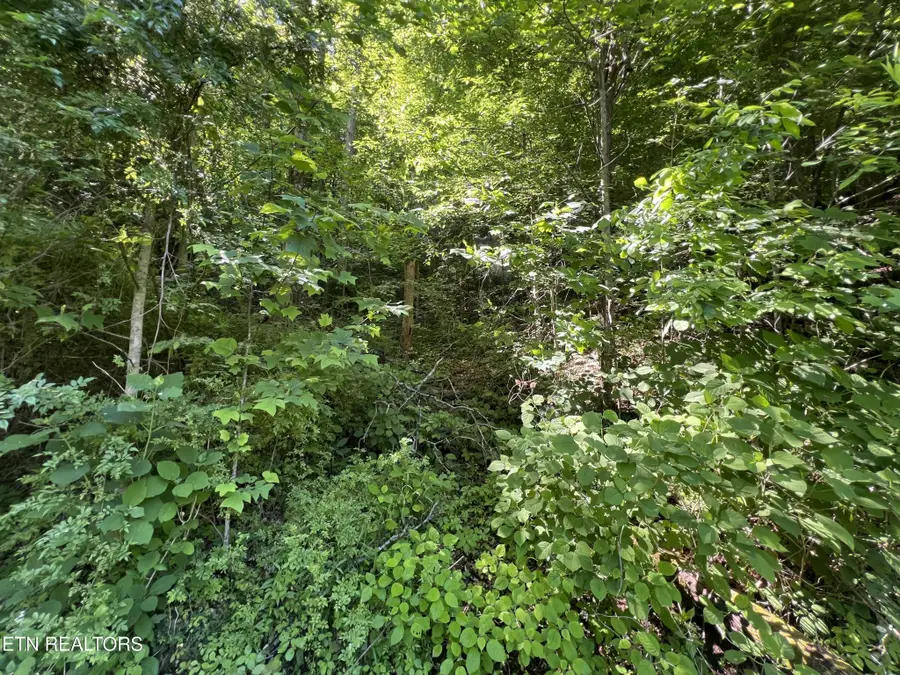 0 Apache Rd, Jamestown, TN 38556 - #3