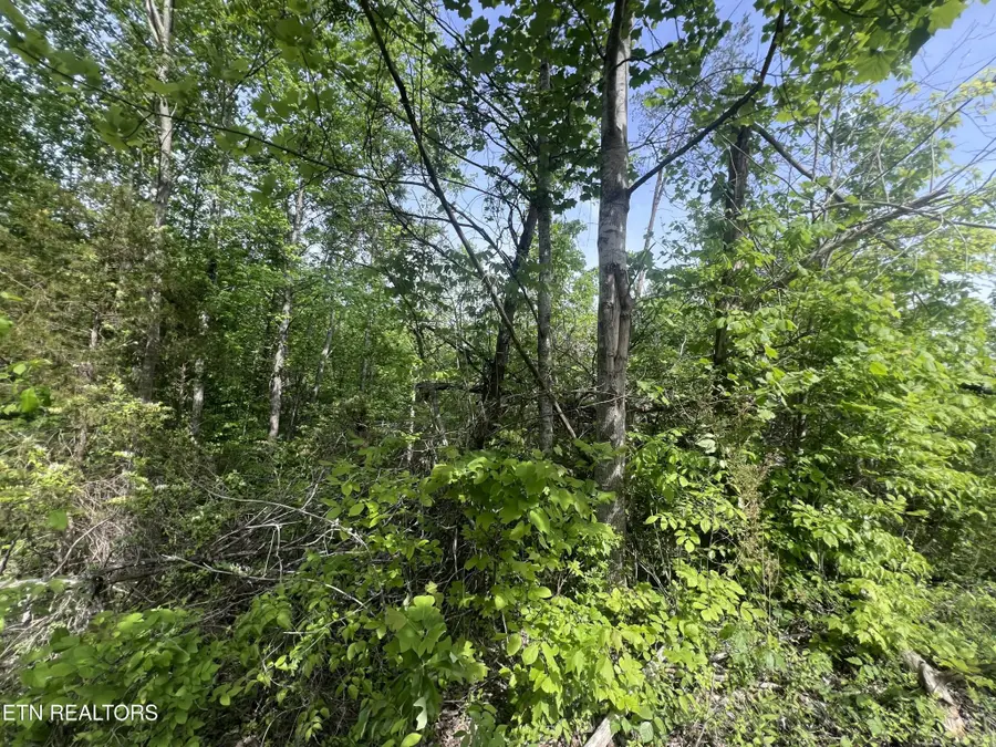0 Big Hollow Rd, Monroe, TN 38573 - #2