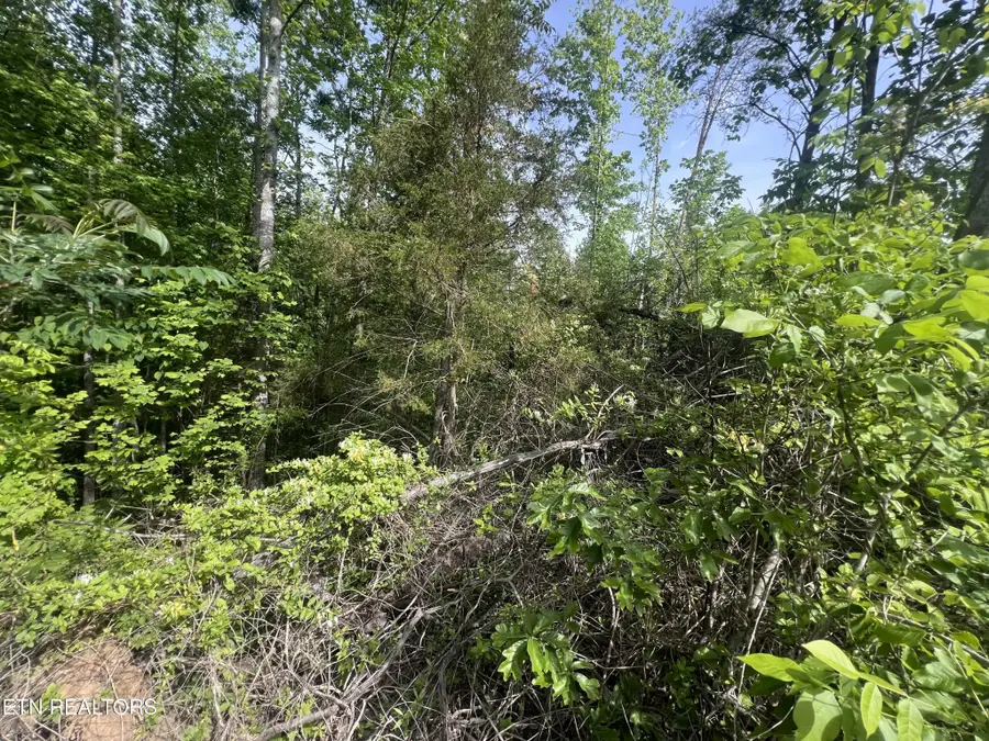 0 Big Hollow Rd, Monroe, TN 38573 - #3