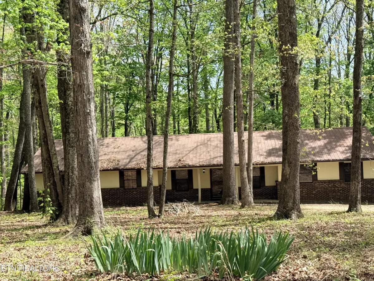 549 Yellow Cliff Estates Rd, Jamestown, TN 38556 - #1