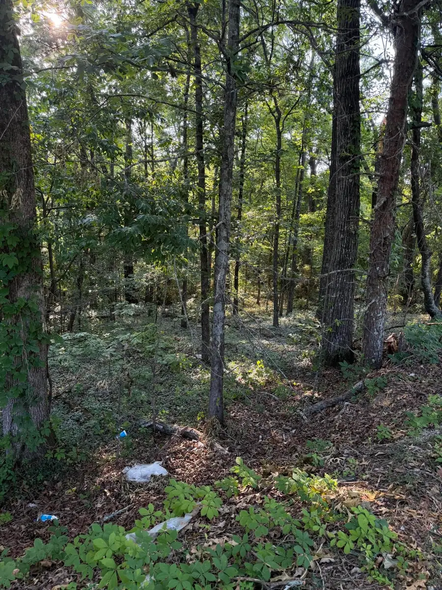 0 Birchwood Pike, Harrison, TN 37341 - #3