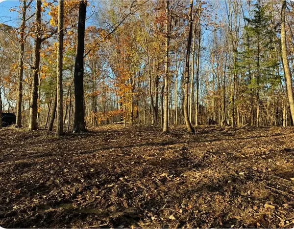 260 Lineport Rd, Bumpus Mills, TN 37028