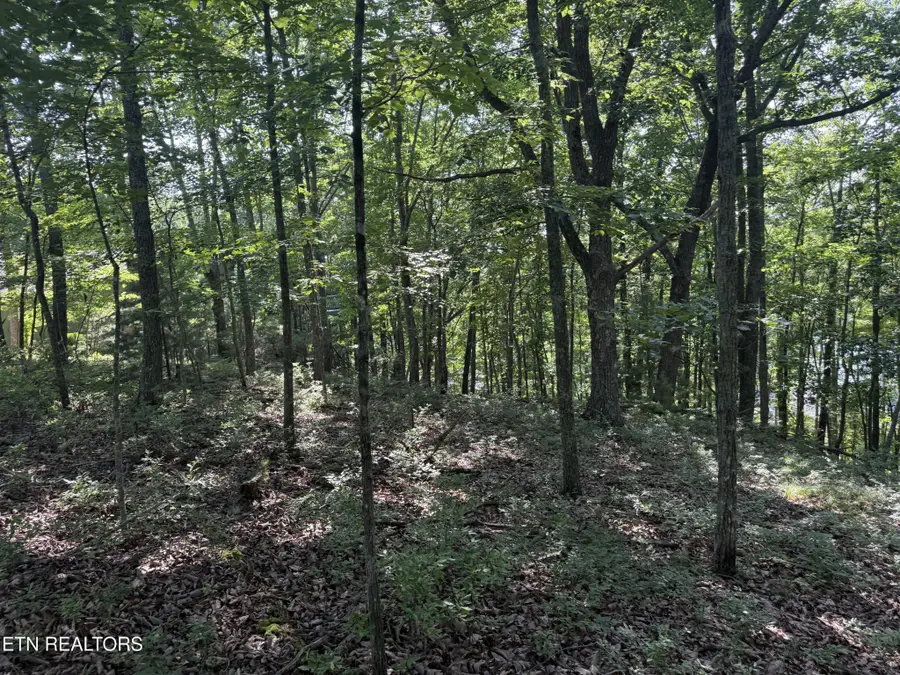 0 Markham Lane, Crossville, TN 38558 - #2