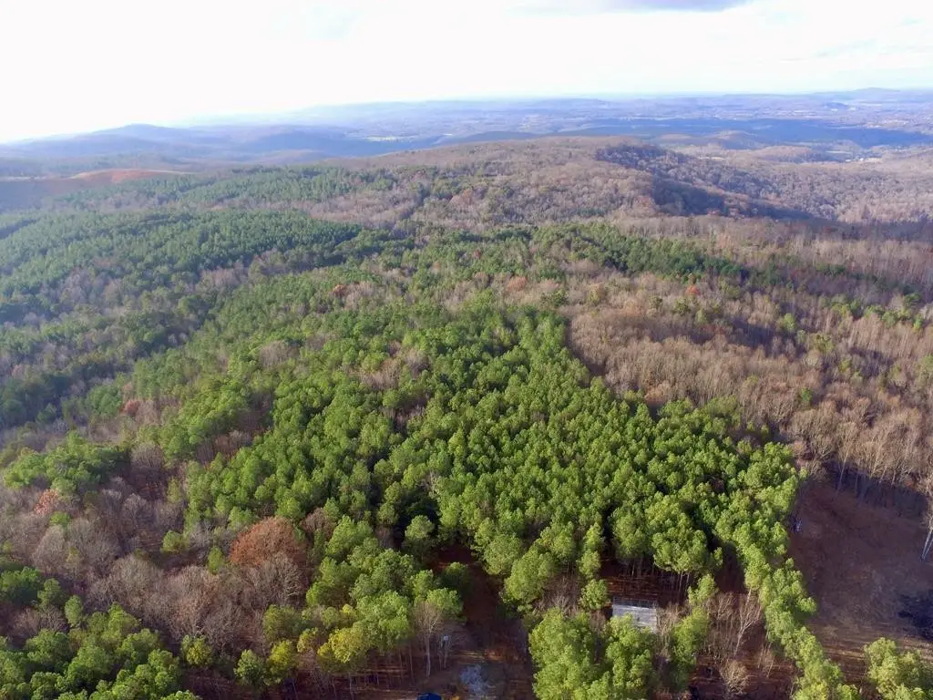 0 Topside Dr, Spencer, TN 38585 - #1