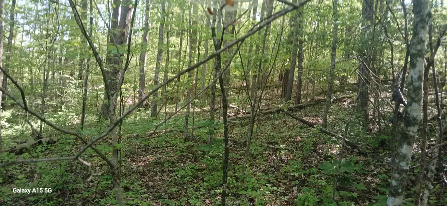 240 County Road 564, Englewood, TN 37329 - #2