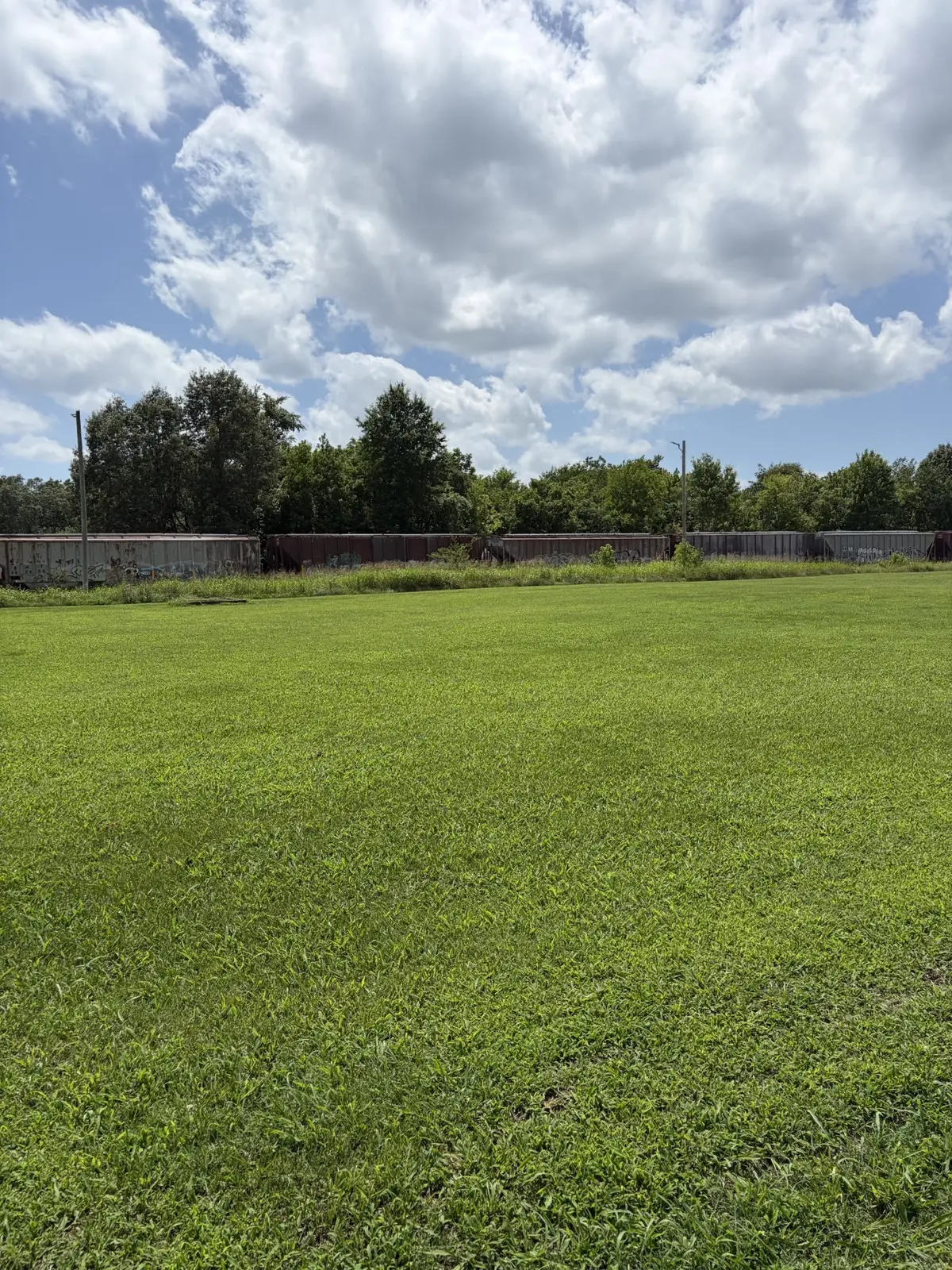 449 Euclid Avenue, McKenzie, TN 38201 - #1