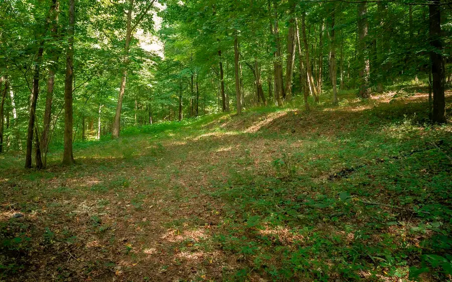 1754 Oakbrook Trail, Ooltewah, TN 37363 - #2
