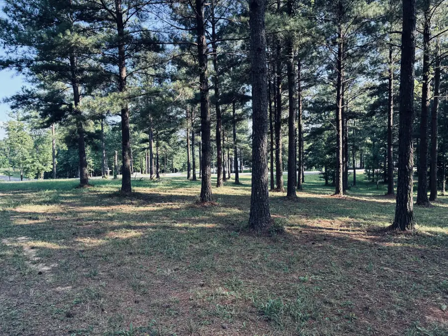 0 Raulston Falls Road, Jasper, TN 37347 - #2