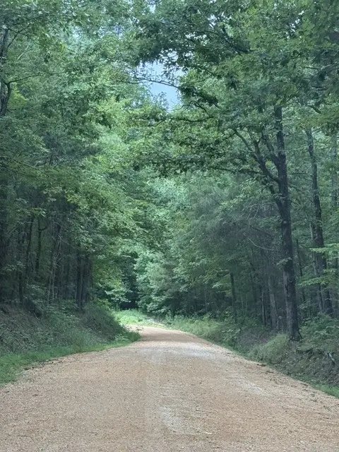 0 Old State Highway 69, Sugar Tree, TN 38380 - #1