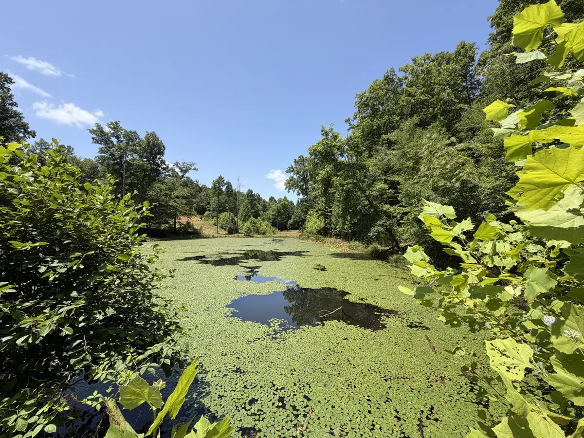 215 Bar Bee Rd, Hohenwald, TN 38462 - #1