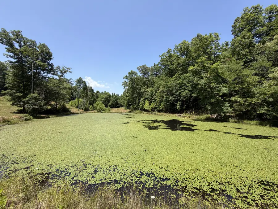 215 Bar Bee Rd, Hohenwald, TN 38462 - #2
