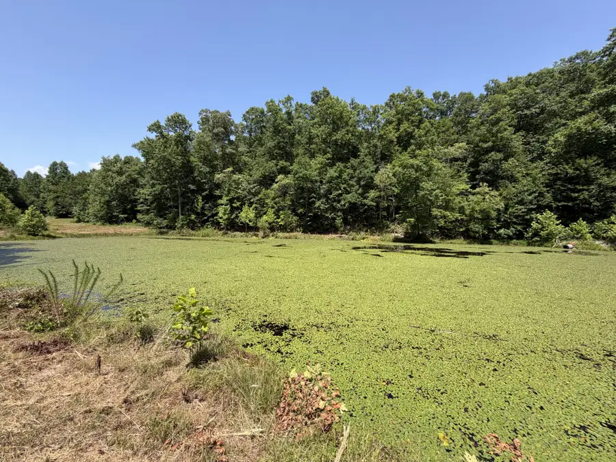 215 Bar Bee Rd, Hohenwald, TN 38462 - #3