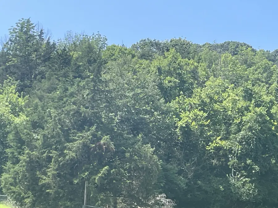 0 Ingram Rd, Whites Creek, TN 37189 - #3