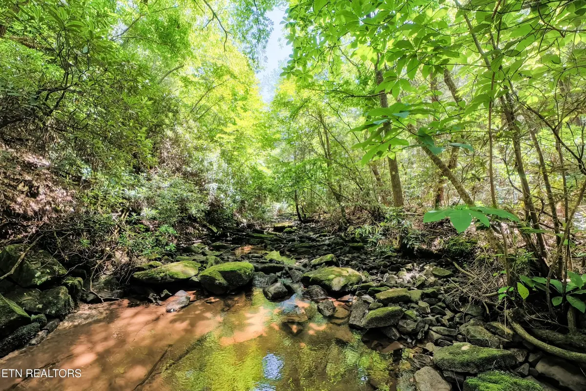 0 Leffle Webb Rd, Crossville, TN 38572 - #1