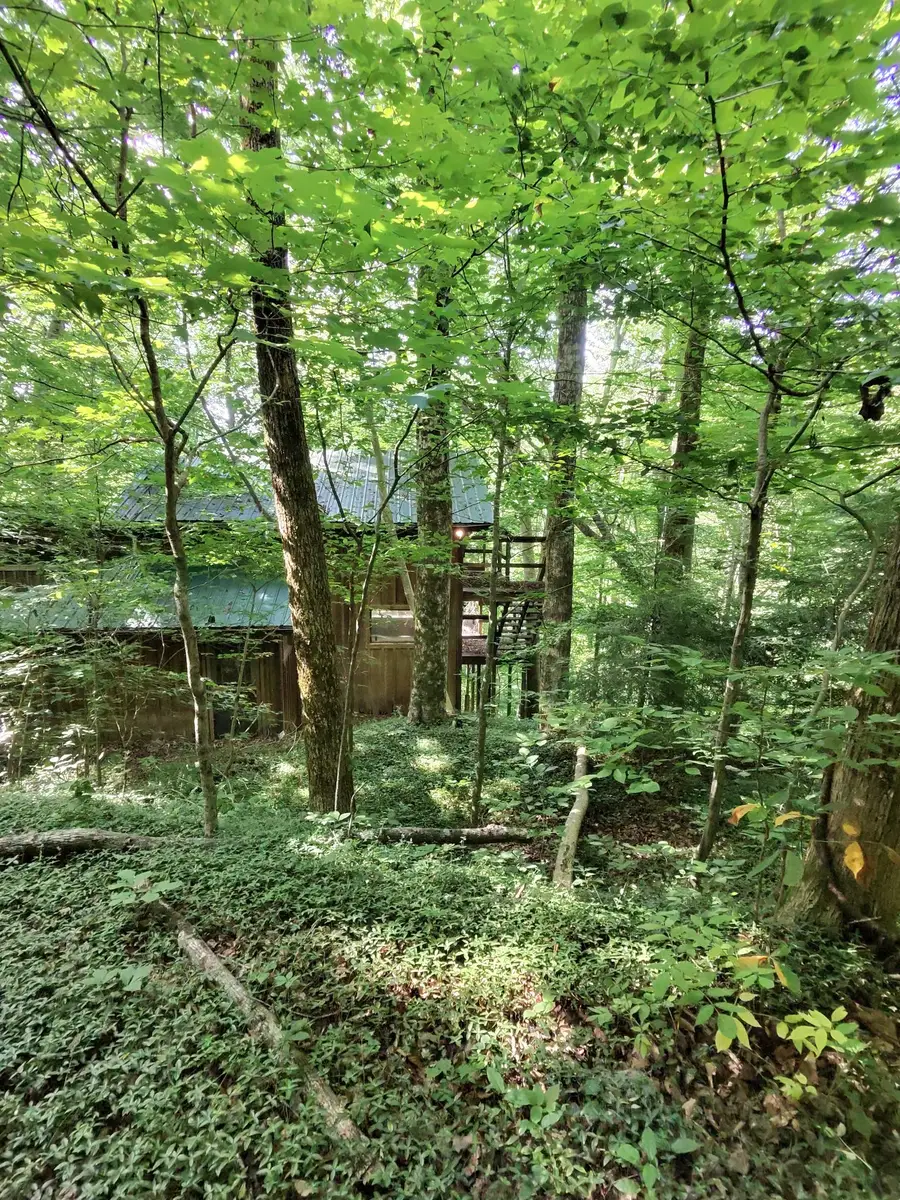 2450 Ponder Rd, Smithville, TN 37166 - #2