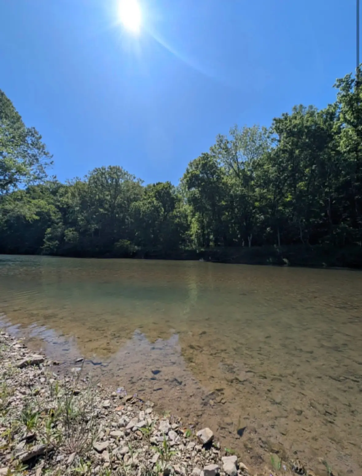 8167 Primm Springs Rd, Primm Springs, TN 38476 - #1