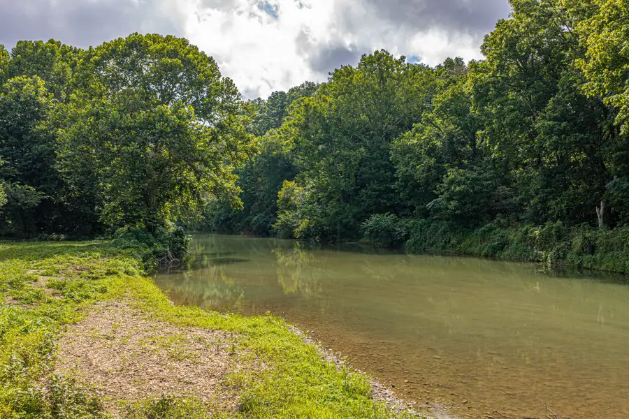 8167 Primm Springs Rd, Primm Springs, TN 38476 - #2