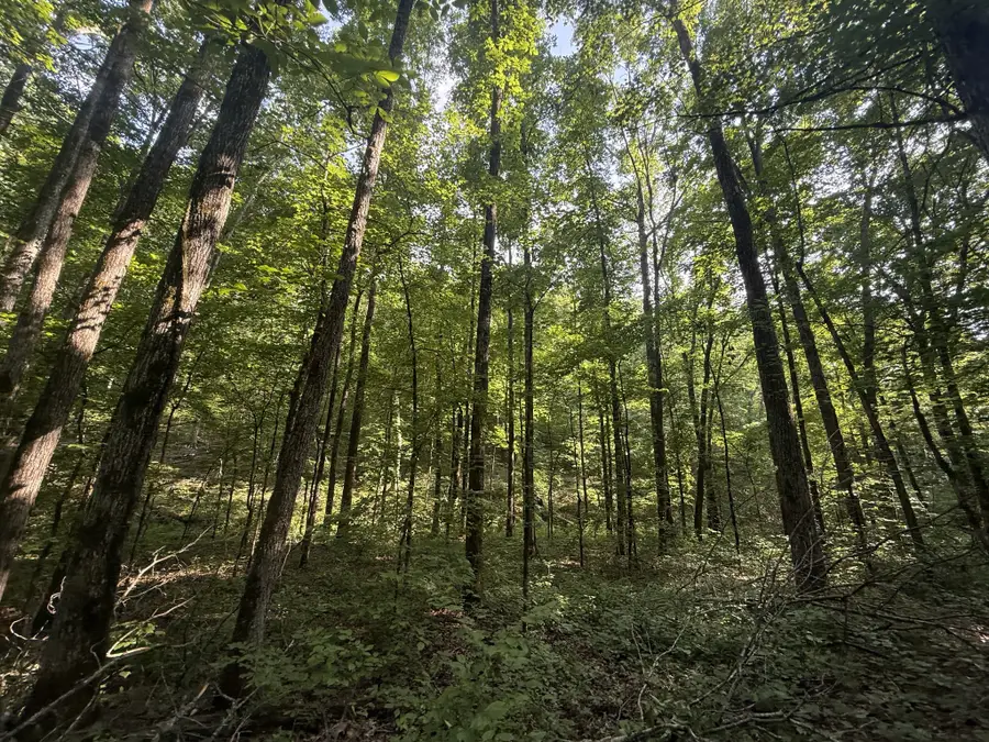 0 Toll Hollow Rd, Waynesboro, TN 38485 - #2
