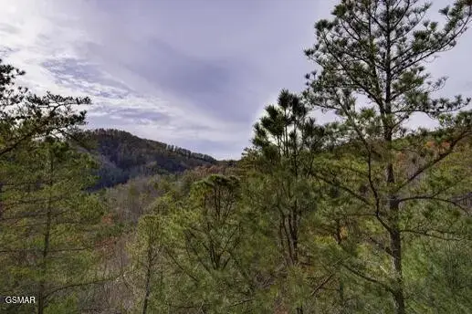 1340 Parkview Vista Way, Pigeon Forge, TN 37863 - #3