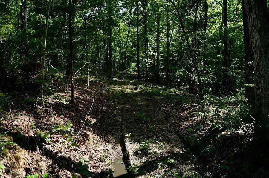0 Jeanette Holladay Rd, Parsons, TN 38363 - #2
