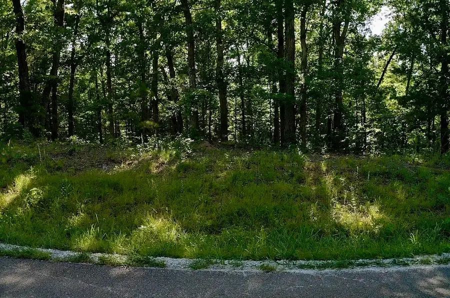 0 Jeanette Holladay Rd, Parsons, TN 38363 - #3