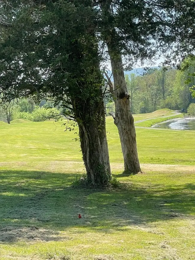 21552 Us 127, Dunlap, TN 37327 - #2