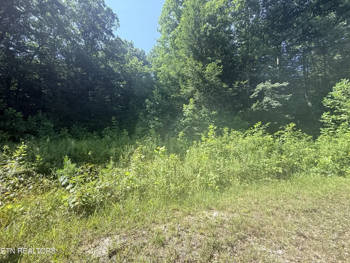 760 Dubose Drive, Jamestown, TN 38556 - #1